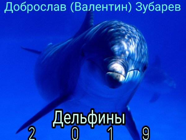 Валентин (Доброслав) Зубарев __ Ав.Муз. Ocean Delfiner - Дельфины  _  (Вторая версия) ___ 24.02.2019