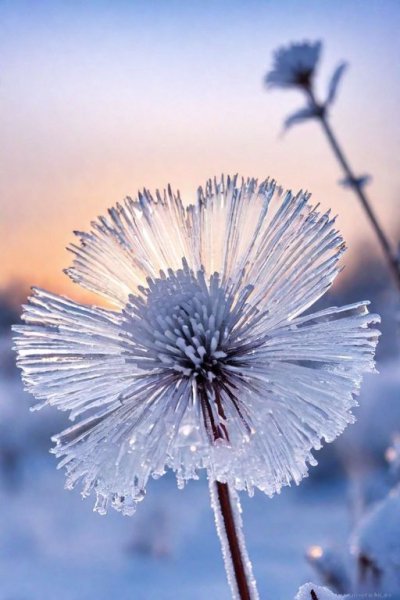 Гравитация - Белый снегопад (Sefon.Pro)