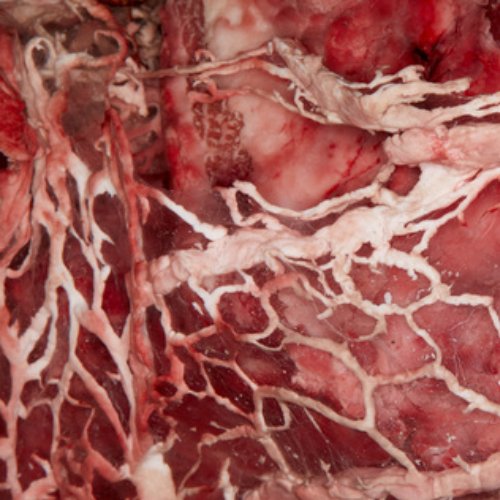 Disfigure - Disfigure - Viscera