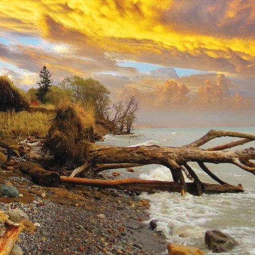 Monarch Trail - Monarch Trail -  Megalopolitana
