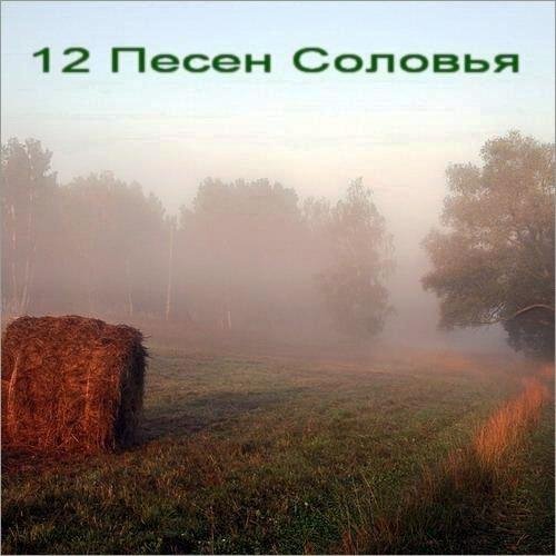 Соловьиная роща - Вторая песня «Соловьиный дуэт»