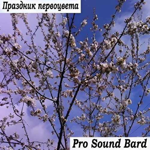 Pro Sound Bard - Обозрею с высот