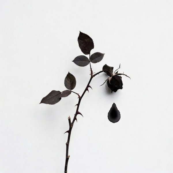 СДП - Упоенье  яд отравы