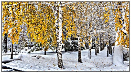 Сергей Грищук ,Музыка Для Души, - ♫ ПАДАЕТ СНЕГ  ♫ Музыка Сергей Грищук♫