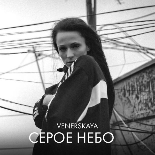 VENERSKAYA - ДОЛБОЁБ