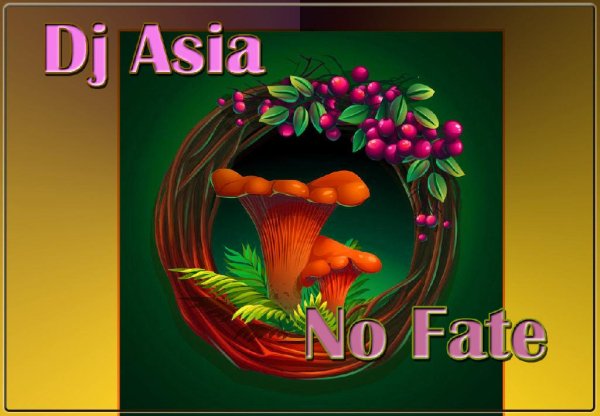 Dj Asia - No Fate