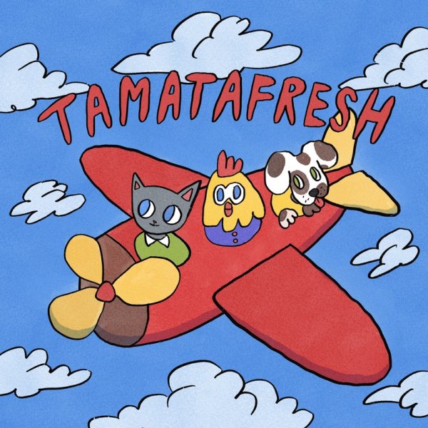 Tamatafresh - Самолёт