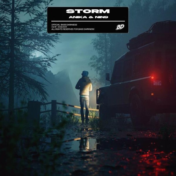 Anika/Nin9 - Storm