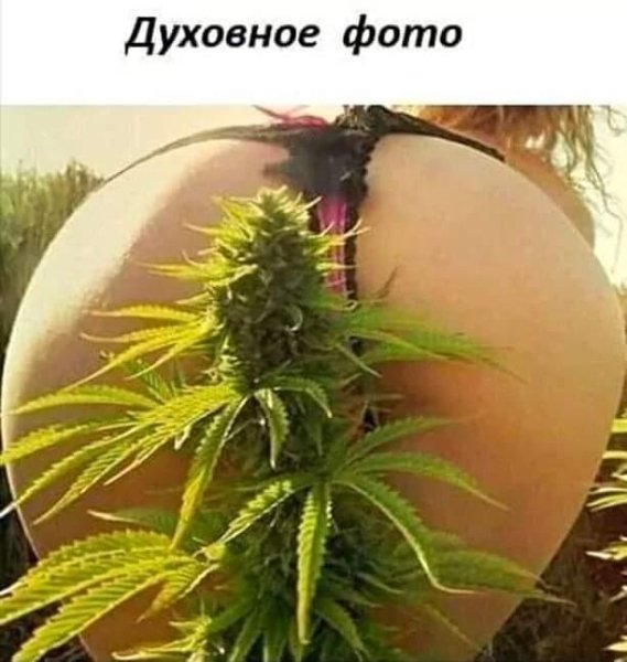 Керамика и Николай Фоменко - Лампочки