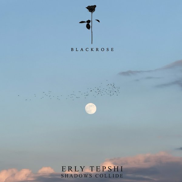 Erly Tepshi - Shadows Collide (Original Mix)