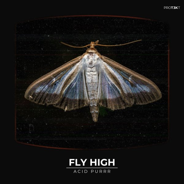 Acid Purrr - Fly High