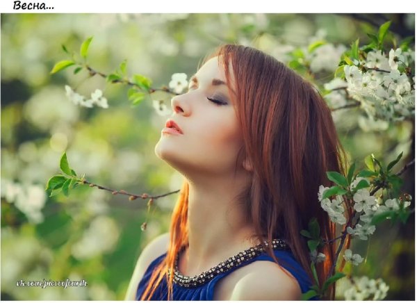 Максим Чигинцев - Максим Чигинцев гитара  Облетают последние маки