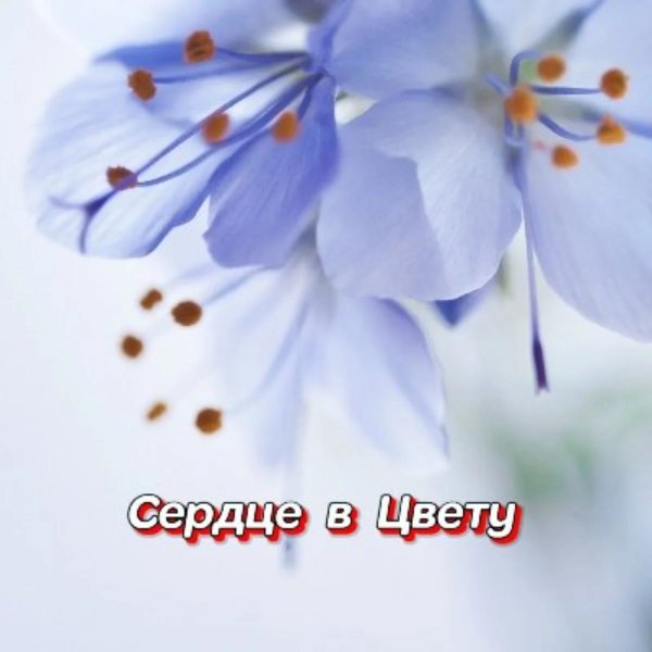 Гравитация - Прости за все