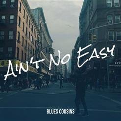 Blues Cousins - Show Me the Way