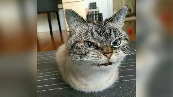 Неизвестный - Без названия