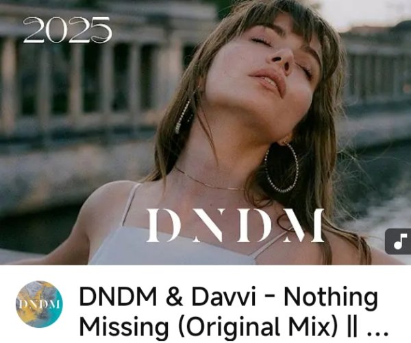 DNDM, Davvi - Nothing Missing (Original Mix) [muzne.net]