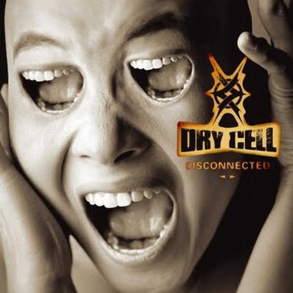 Dry Cell - Ordinary