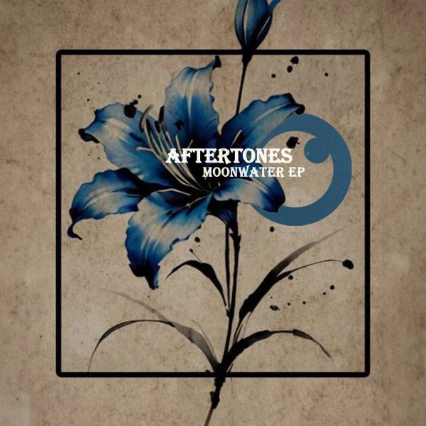 Aftertones - Native Ways (Original Mix)