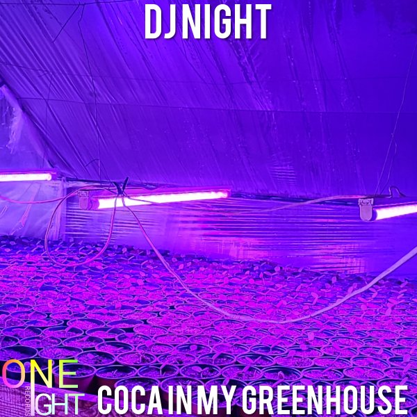 Dj Night - In My Greenhouse (Coca In My Greenhouse)