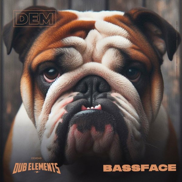 Dub Elements - Bassface