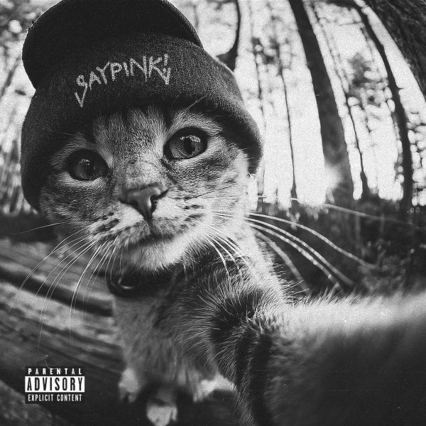 Saypink! - Как ты заебала