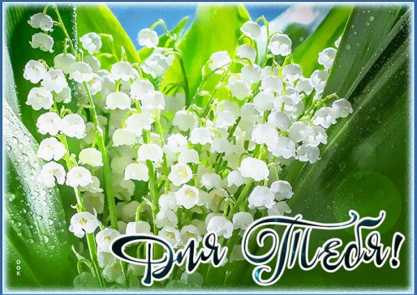 Jazzdauren - Я подарю вам ландыши (Dj Romano Eurodance Remix)