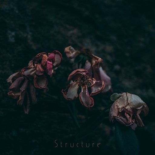 Structure - Catatonic