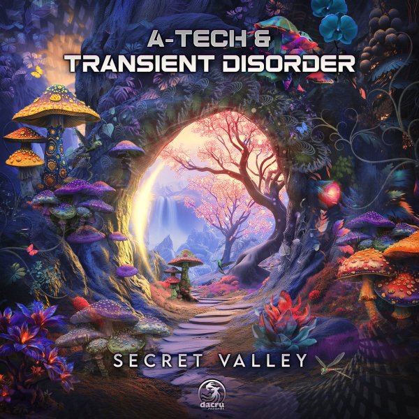 A-tech &amp; Transient Disorder - Secret Valley