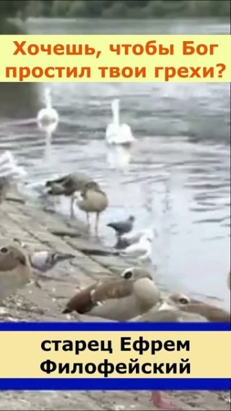 Наставление старца Ефрема Филофейского - Хочешь, чтобы Бог простил твои грехи?
