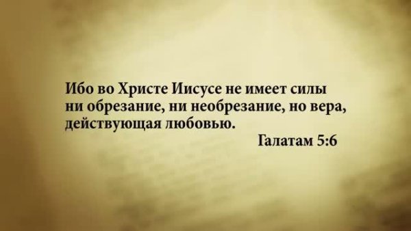 3_minuty_Biblii_Stih_dnya_28_maya_Galatam_5_6. - 3 минуты Библии. Стих дня. 28 мая. Галатам 5:6.