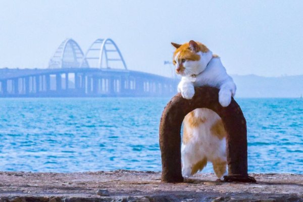 Geoff Love &amp; His Orchestra  Sabre Dance - Geoff Love &amp; His Orchestra  Sabre Dance