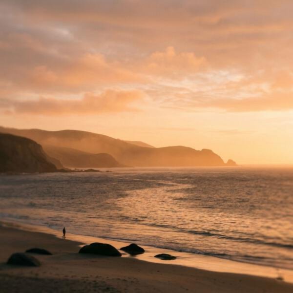 Somnafield - Waves