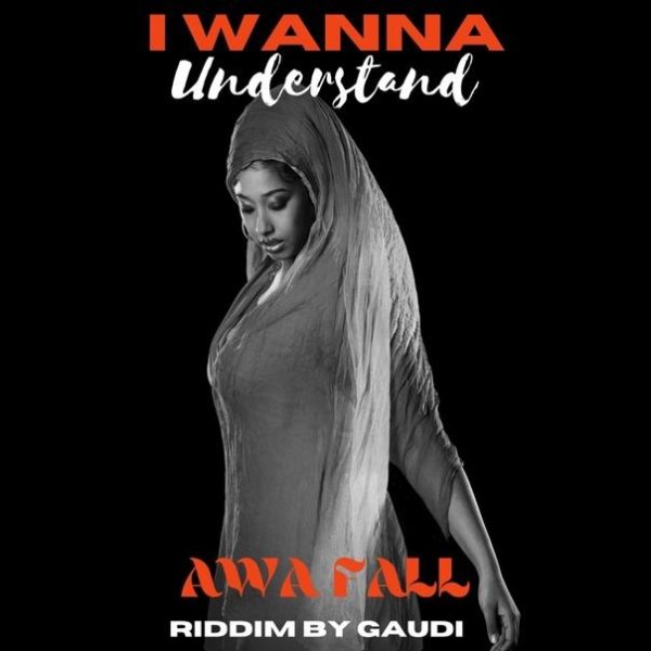 Awa Fall &amp; Gaudi - I Wanna Understand