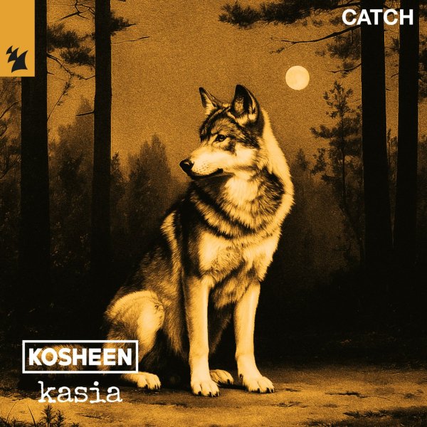Kosheen &amp; KASIA - Catch (Radio Edit)