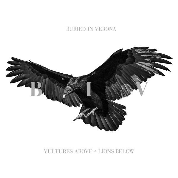 Buried in Verona - Extraction