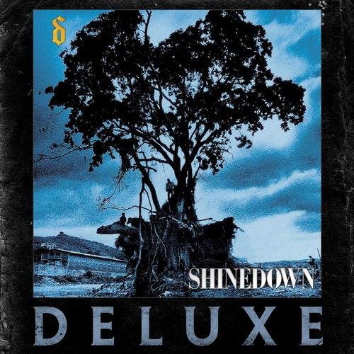Shinedown - 45