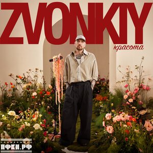 Zvonkiy - Красота