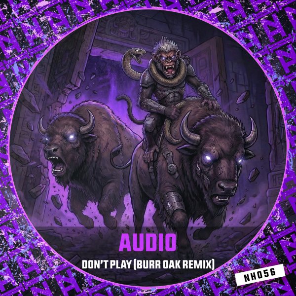 Audio - Don't Play (Burr Oak Remix)