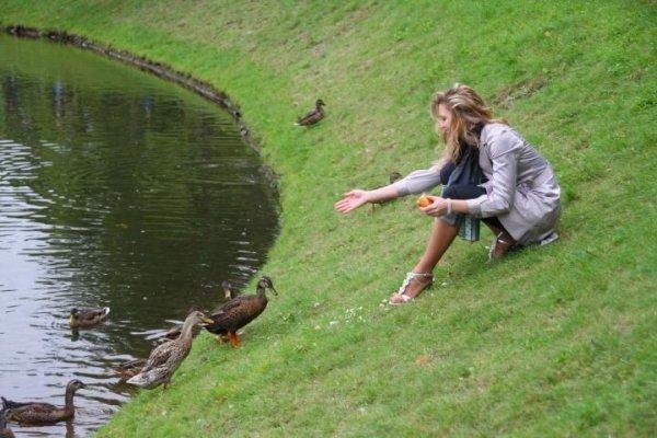 Waldo de los Rios - Obertura 492 (Las Bodas de Figaro K. 492)