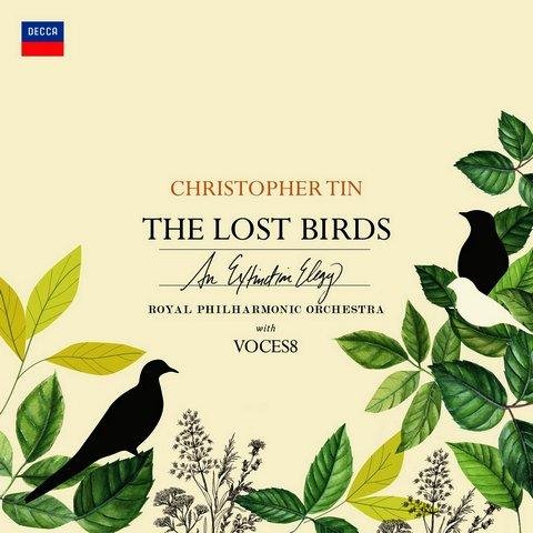 Christopher Tin - The Saddest Noise