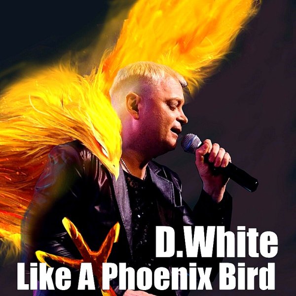 D.White - Like a Phoenix Bird (Instrumental)
