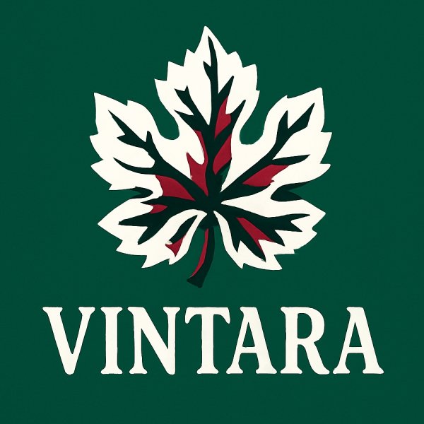 Vintara - Blue Neon Tears /Orginal Mix 2026