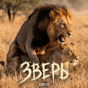 Ленинград - Зверь
