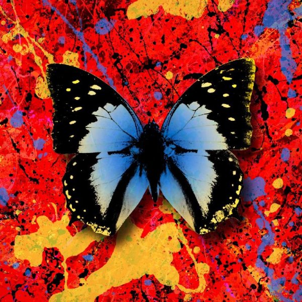 Ed Sheeran - 2step (feat. Antytila)