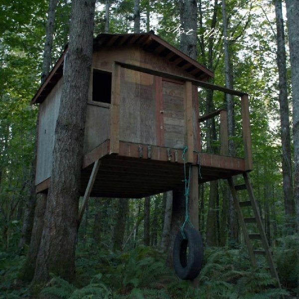 Shawn James - Not Alone