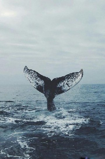 Жан Мишель Жаре - Ethnicolor (Kristaphers Woney Remix) (самая страшная музыка 20 века)