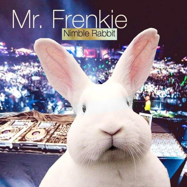 Mr. Frenkie - Nimble Rabbit