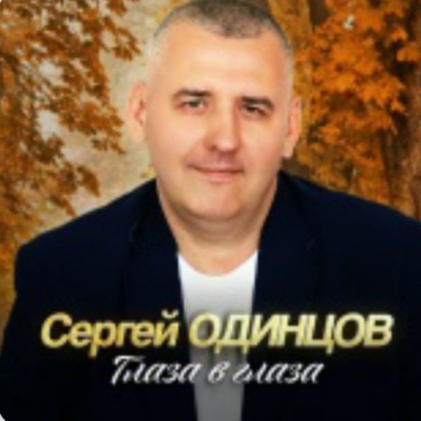Сергей Одинцов - В городе снежной зимы