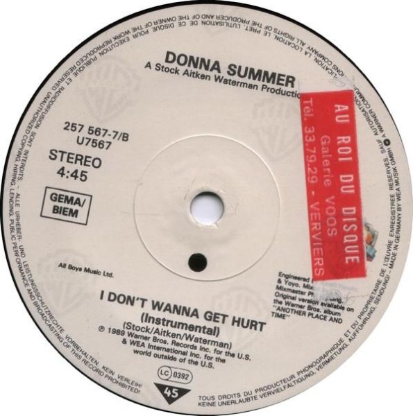 Donna Summer - I Don't Wanna Get Hurt (Instrumental)
