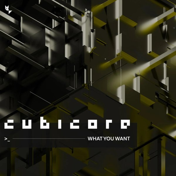 Cubicore - What You Want (Extended Version)